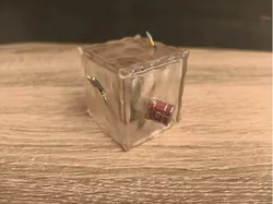 Gelatinous Cube with attachable items