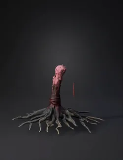 pink blossom tree with exposed roots and wrapped trunk