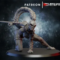Assassin