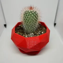 Geometric Plant Pot