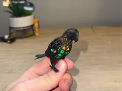 Parrot Poop Collector - Free 3D Print Model