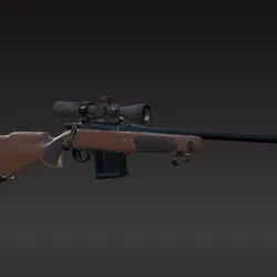 rifle gun