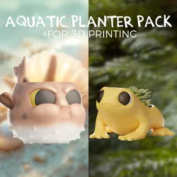 Aquatic Planter Pack - Planter pots