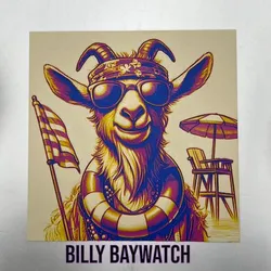 Billy Baywatch