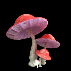 Mushrooms