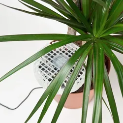 Haze plant vent