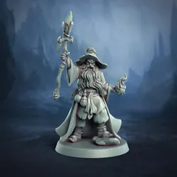Human Wizard