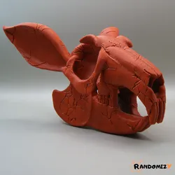 Rabbit Skull