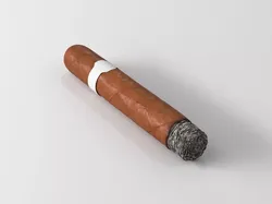Cigar lit 3D model
