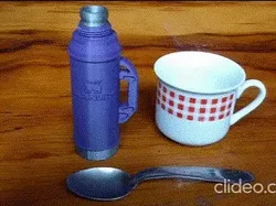 Stanley Multifunction Minitermo Multifunctions: key ring, sugar bowl, box, etc.