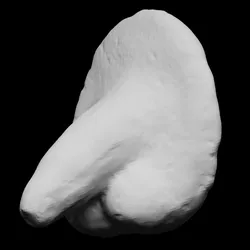 Anatomic Votive Offering
