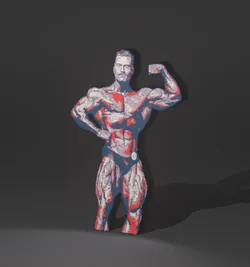 Bodybuilding Champ 2 Lamb Decorative Led Lightbox
