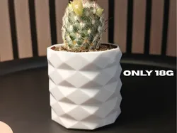Cactus Vase - Free 3D Print Model