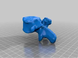 lumbar vertebrae