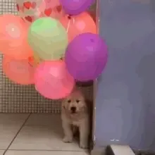 Suporte Alexa Echo Dot 4a e 5a Geração Balloon Dog 2 Modelos