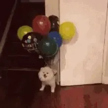 Suporte Alexa Echo Spot 2024 Balloon Dog 2 Modelos