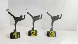 Victory cup, winning cup, trophy - Football tennis; Futnet; nohejbal - first place; second place; third place (1st place; 2nd place; 3rd place)