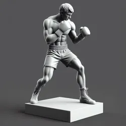 Boxer in Fighting Stance
