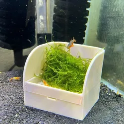 Egg Trap for Egg-Scattering Fish