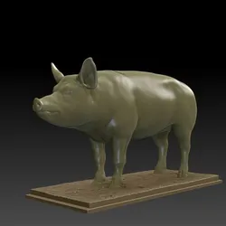 Pig 3D Model
