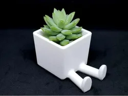 Succulent Planter / 3D printed planter / Legged Planter
