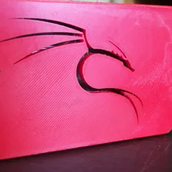 Raspberry Pi 4B Kali Linux themed case.