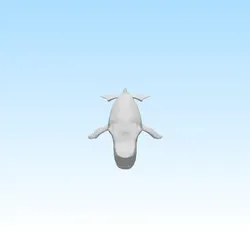 Whale