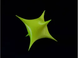 Distel - smooth algebraic surface