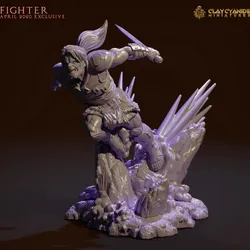 Fighter