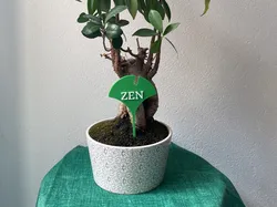 Plant Label “ZEN” - Plant Marker in PLA - Free 3D Print Model