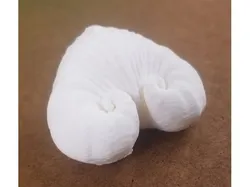 Spiral Heart Shell - Meiocardia Vulgaris
