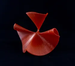 Geisha -- singular algebraic surface