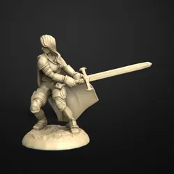 Woman Paladin