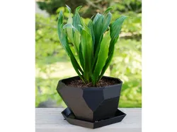 Low Poly Planter