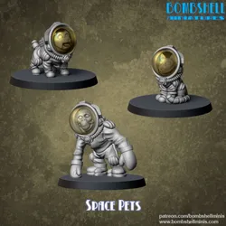 Space Pets