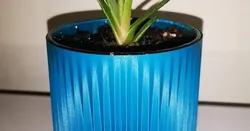 Ikea SINNLIG Candle Vase Planter