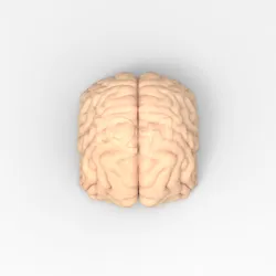 IQ+1 keycap