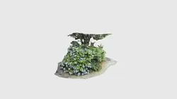 湘南台公園近くの路地でアジサイ発見