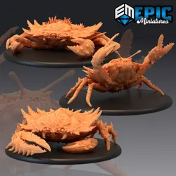 Giant Crab Set / Sea Monster Collection