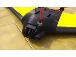Fly wing Buky-04
