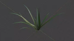 Grass a1 3D model