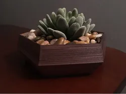 Hexagonal Succulent Planter