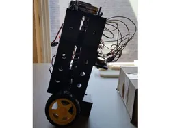 Self Balancing Robot