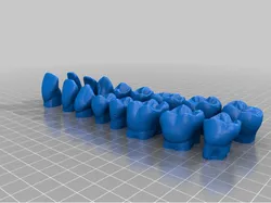Adult Teeth Models for learning tooth morphology