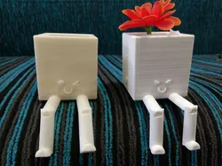 Kawaii Flower pot