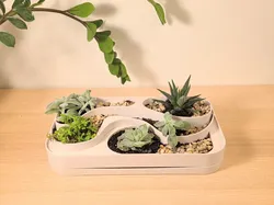 Terraced Succulent Planter - Free 3D Print Model
