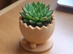 Easter Egg Plant - Free 3D Print Model