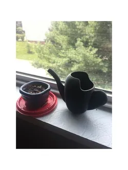 Mini Watering Can