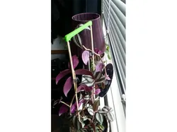 Flower stick support