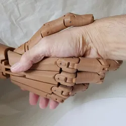 Articulated hand -
